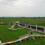 Panjalin kidul kembangkan wisata edukasi pertanian