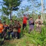 Desa panjalin kidul tanam seribu pohon untuk penghijauan