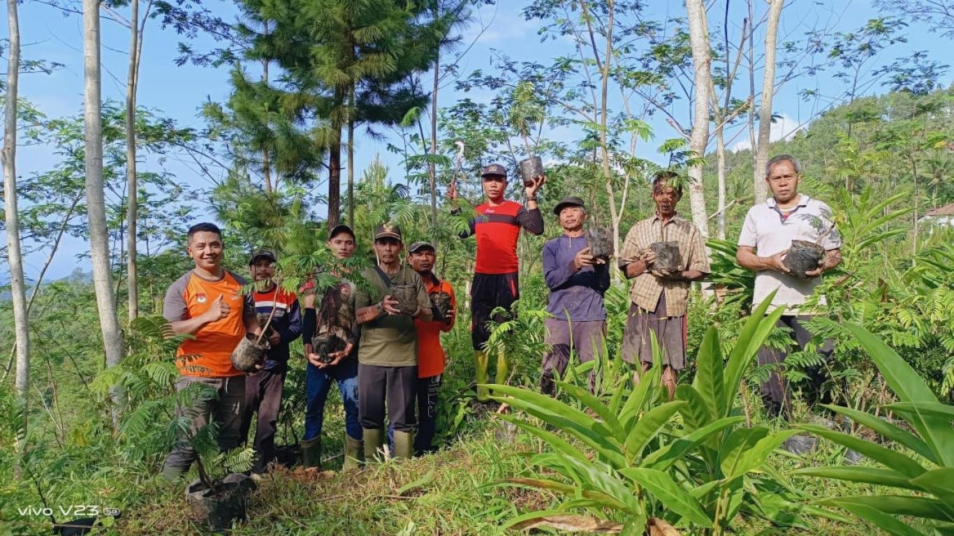 Desa panjalin kidul tanam seribu pohon untuk penghijauan